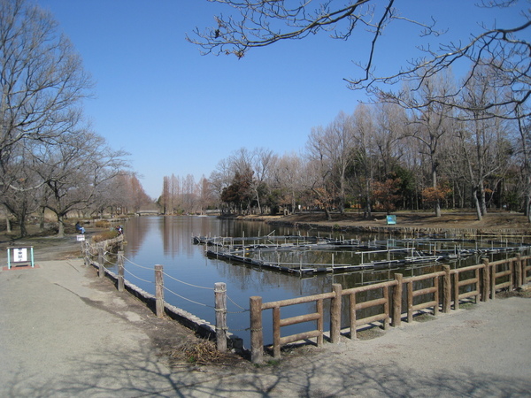 サザンクロスのレジャー・観光画像