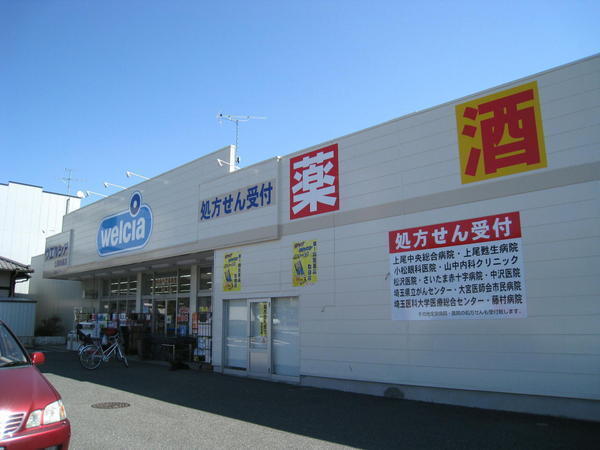 富士見ハイツのドラッグストア画像