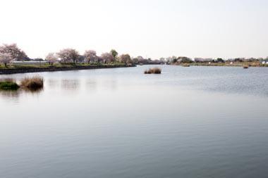 メゾンド・オウサムのレジャー・観光画像