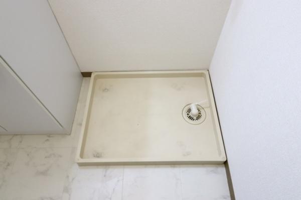 エコーハイツマルオカの洗面台・洗面所画像