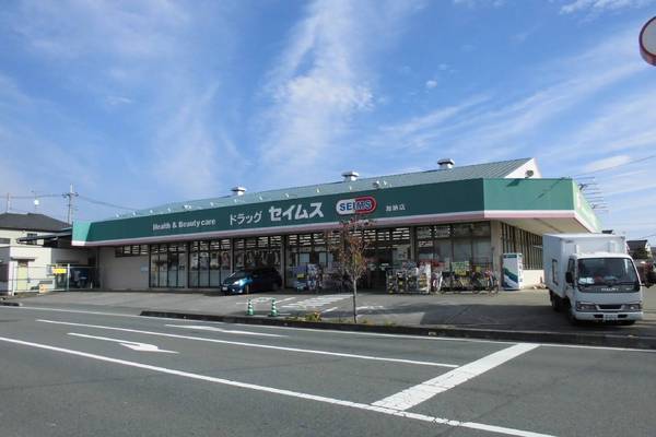 デ・ラ・ソル向原のドラッグストア画像