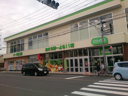 リモージュ指扇Ａ棟のスーパー画像