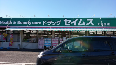 リモージュ指扇Ａ棟のドラッグストア画像