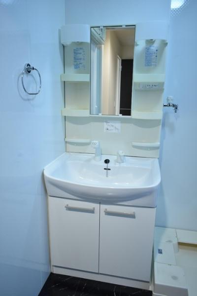 ルミールⅢの洗面台・洗面所画像