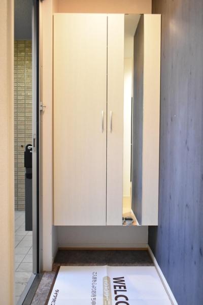 ルミールⅢの玄関画像