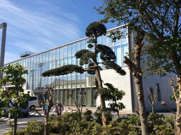 シャインフィールドの役所画像