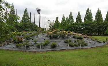 ラフィネ・ドミール弐番館の公園画像
