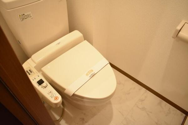 ラフィネ・ドミール弐番館のトイレ画像
