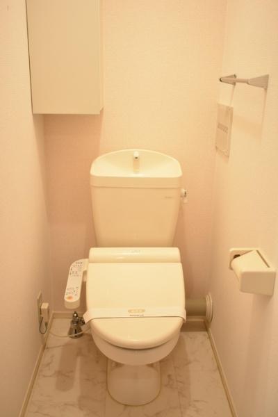 ヴューテラスＡのトイレ画像