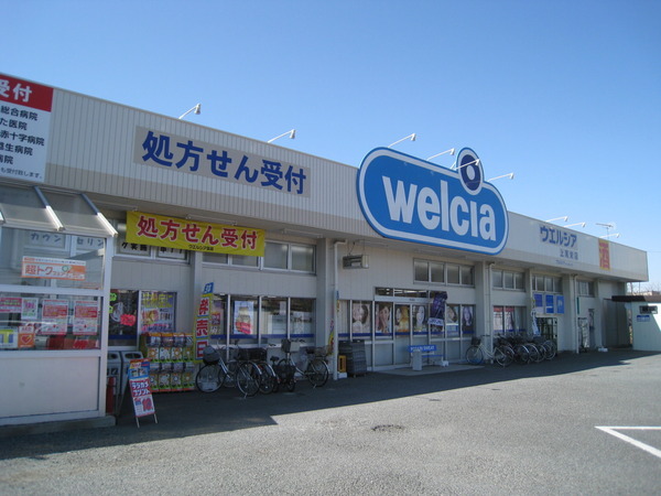 上尾市愛宕戸建て貸家のドラッグストア画像