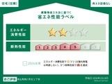 FabriciusBellusのその他画像