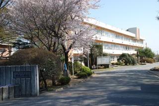 北本市本宿戸建の小学校画像