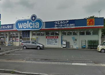 平塚売地Ａ区画のドラッグストア画像