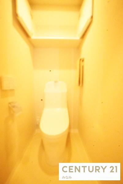 ライオンズマンション大和のトイレ画像