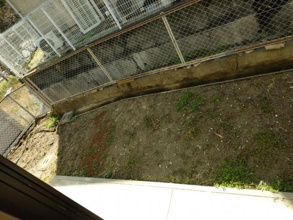 スターシャルム壱番館の庭画像