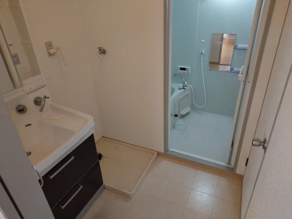 スターシャルム壱番館の洗面台・洗面所画像