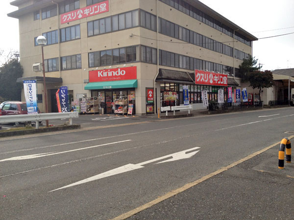 奈良市宝来町　売土地　1区画【建築条件なし】のドラッグストア画像