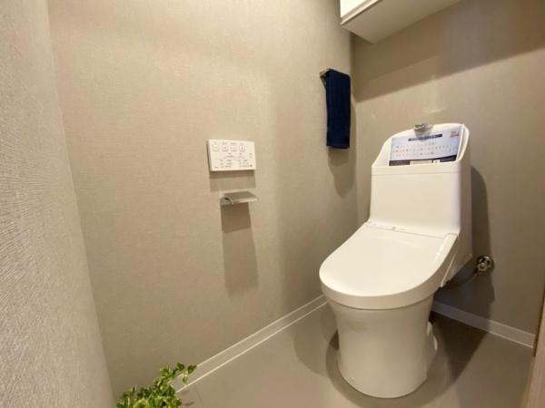 ラウンドヒルズ生駒Ｂ棟のトイレ画像