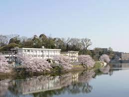 あやめ池グランドハイツA棟の小学校画像