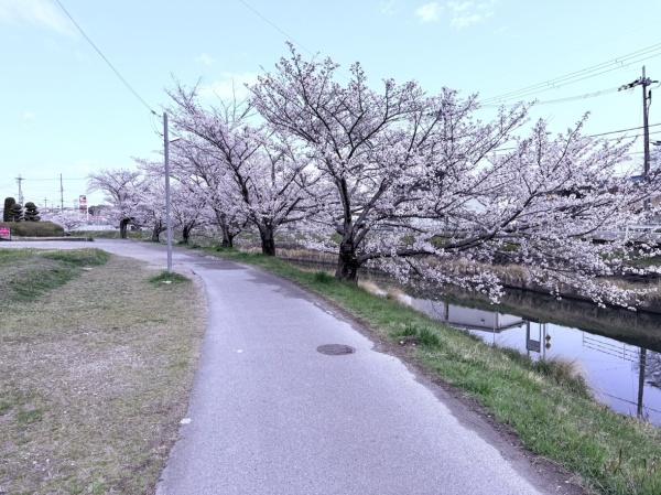 生駒市壱分町　売土地の前面道路含む現地写真画像