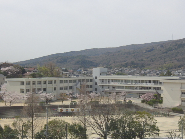 ロイヤルヒルズ東生駒Ｂ棟の小学校画像