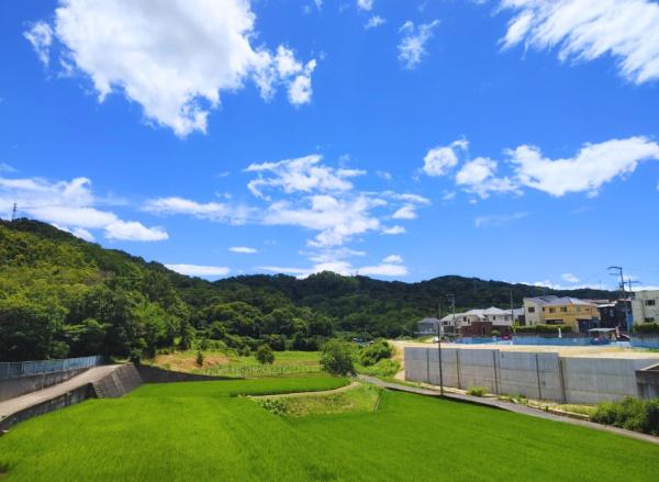 生駒市翠光台の土地の現地土地写真画像