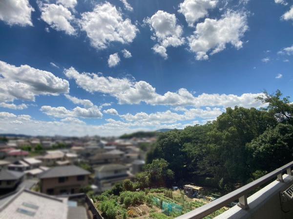 アコール学園前の現地からの眺望画像