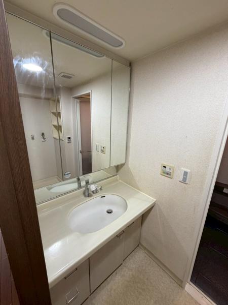 ローレルスクエア登美ヶ丘18番館の洗面台・洗面所画像