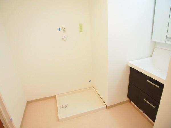 プラチナウエストの洗面台・洗面所画像