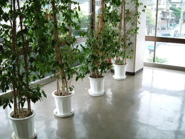 シャレードマルシンのエントランス画像