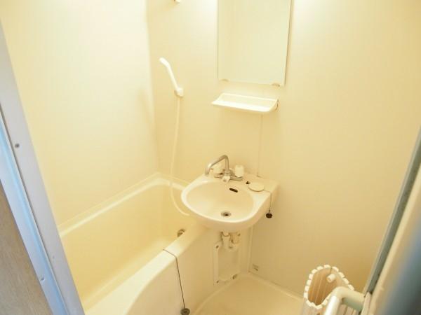 ブルーベルイーストのバス画像