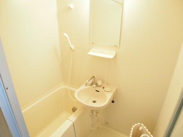 ブルーベルイーストのバス画像