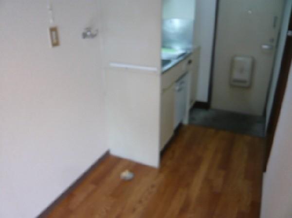 グリーンハイムのリビング画像