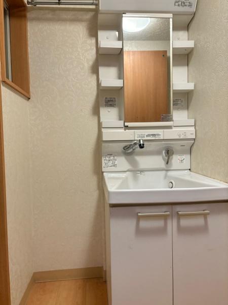 貸家下石神井1-9の洗面台・洗面所画像