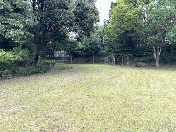 春日市白水池１丁目の中古一戸建の庭画像