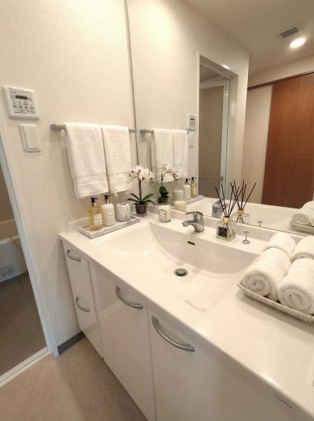 エバーライフリバーサイド飯塚弐番館の洗面台・洗面所画像