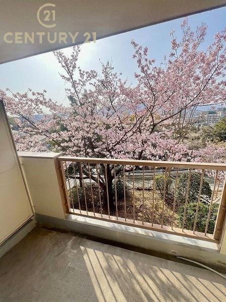 笹の台団地4号棟の現地からの眺望画像