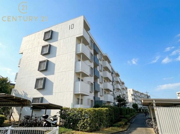 十郎川サンハイツの間取り画像