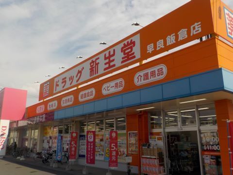 ライオンズシティ姪浜のドラッグストア画像
