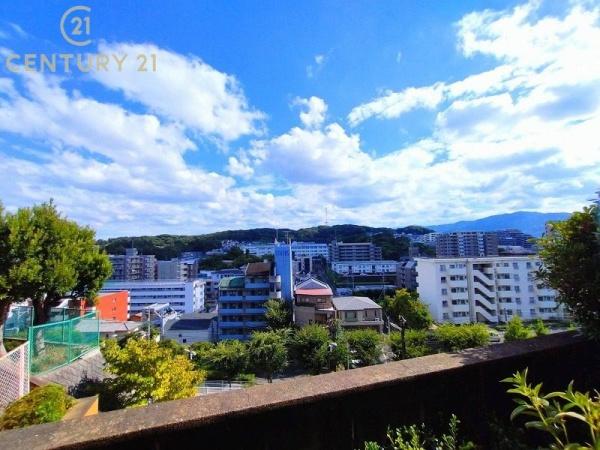 ダイアパレス植物園南の現地からの眺望画像