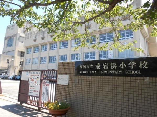 リベーラガーデンA棟パークウィングの小学校画像
