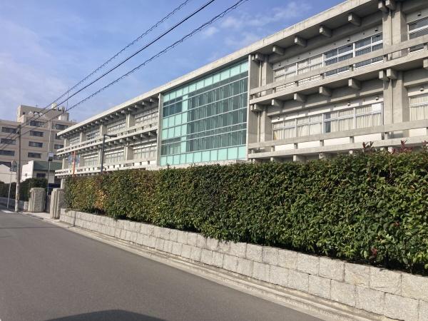 今治市枝堀町1丁目 売土地 B号地の小学校画像