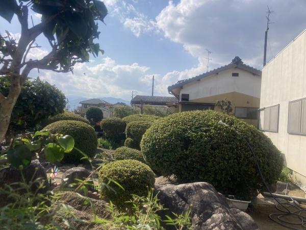 今治市横田町3丁目　中古住宅の庭画像