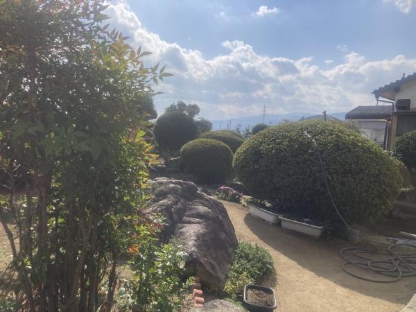 今治市横田町3丁目　中古住宅の庭画像