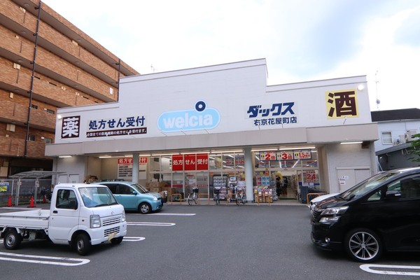 京都市右京区西京極堤町の新築一戸建のドラッグストア画像