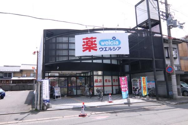 ライオンズマンション西陣南のドラッグストア画像