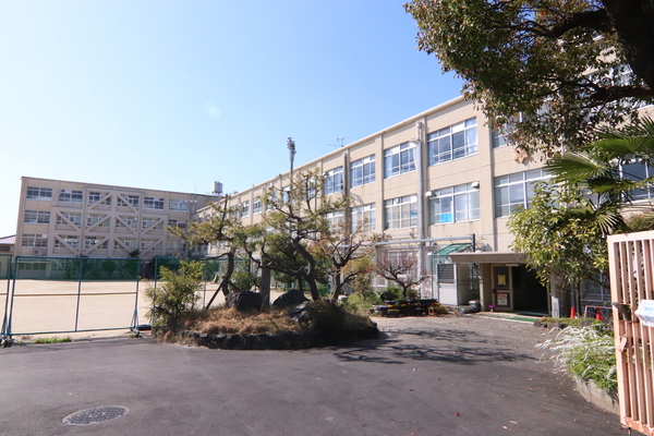 ディオ・フェルティ丹波橋右芳館の小学校画像