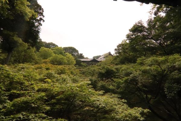 京都市東山区泉涌寺東林町の新築一戸建のレジャー・観光画像