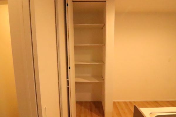 京都市中京区聚楽廻松下町の新築一戸建の収納画像