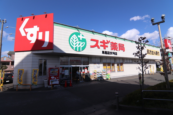 亀岡篠町柏原町頭新築一戸建住宅のドラッグストア画像